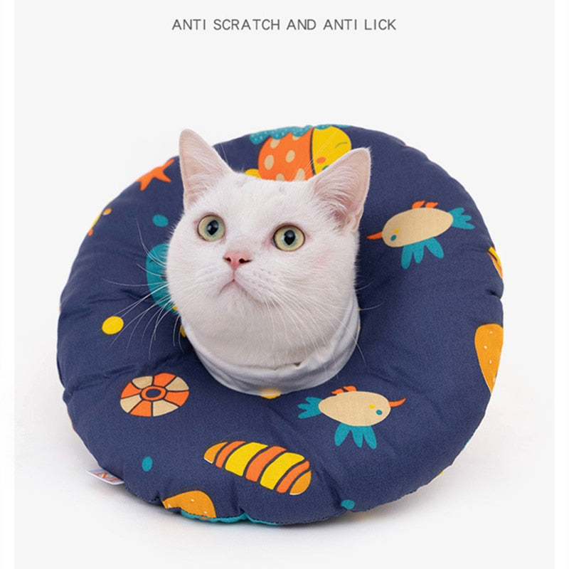 Cat clearance cone nz