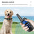 Electric Dog Training Collar Waterproof Rechargeable Remote Control Pet with LCD Display for All Size Bark-stop Collars 40% Off