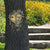 Resin Art-Whimsical Tree Sculpture  Artwork For Garden