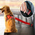 Dog Leads for Vehicle SeatBelt connect to your pets Harness -Safety Lever Auto Traction